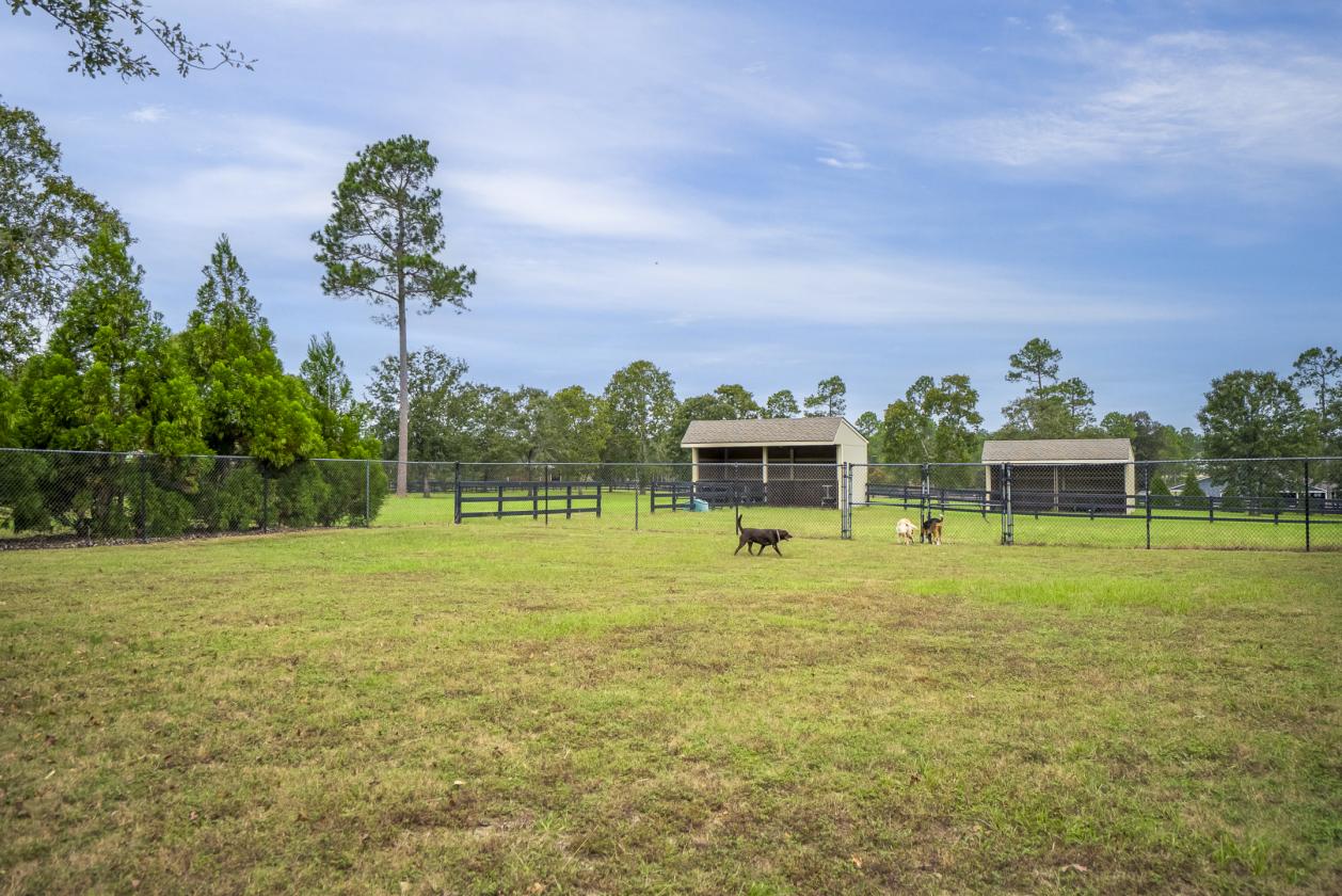 Equestrian Estate with Koi Sanctuary - photo 26
