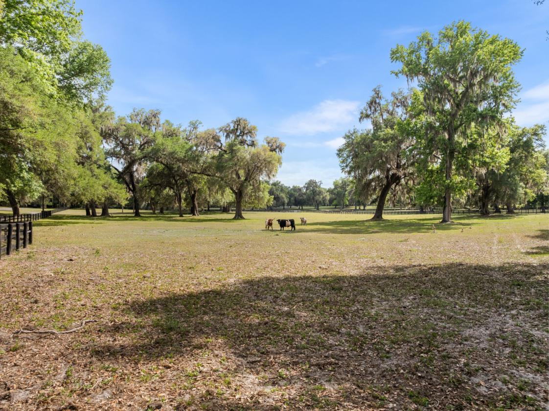 The Quarry Estate-Waterfront Equestrian Retreat - photo 29