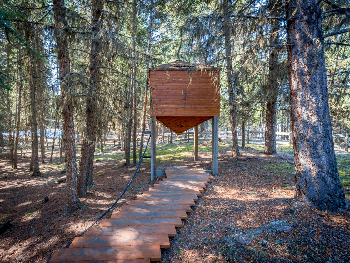 Horse Lake, BC Retreat Lone Butte, Cariboo County, British Columbia