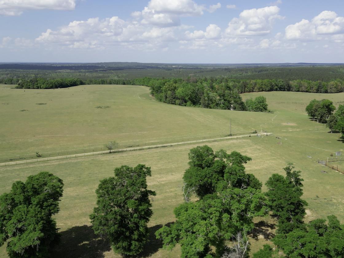 320 prime acres on HIckory Hill, Washington County - photo 12