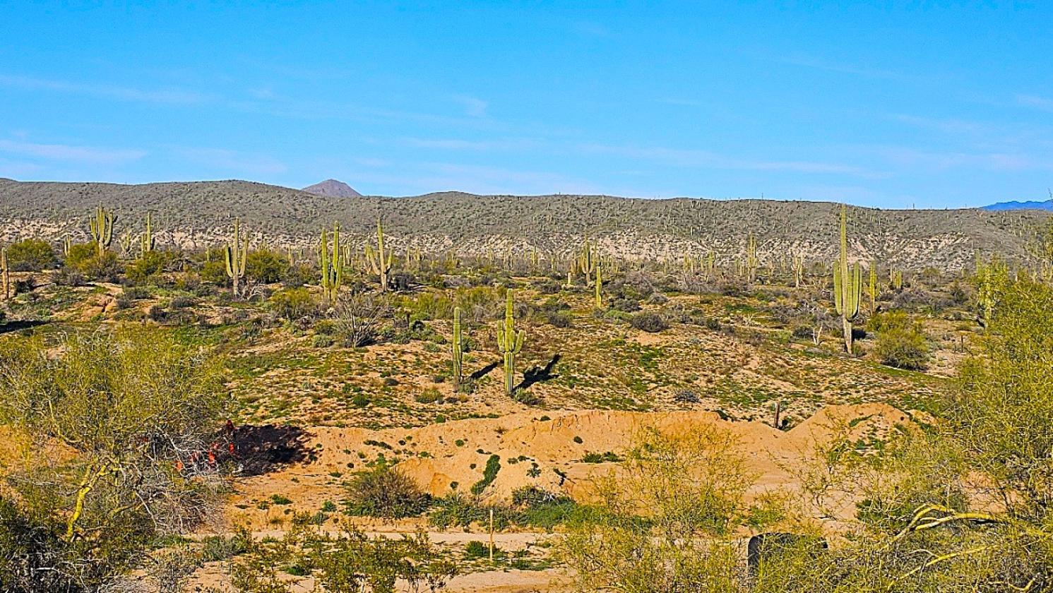 ACREAGE- NATIONAL FOREST FRONTAGE, PRIVATE WELL - photo 9
