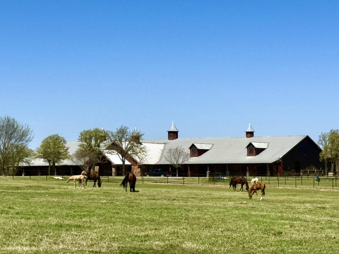 WORLD CLASS EQUESTRIAN ESTATE - photo 3