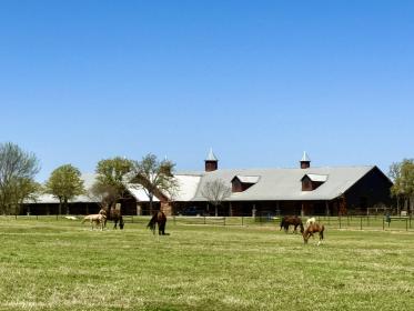 Property image.
