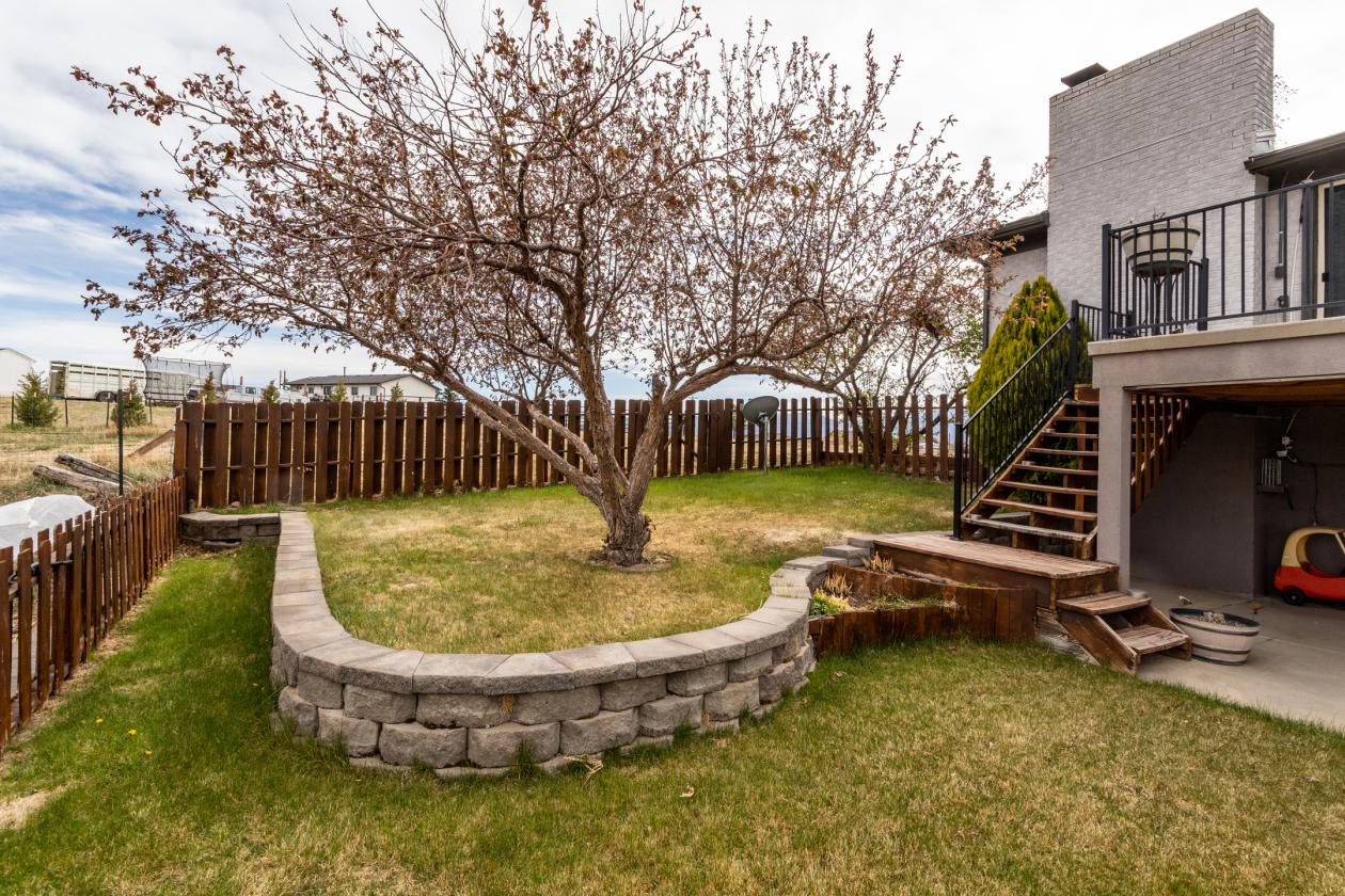 Black Forest horse property with large shop! - photo 18