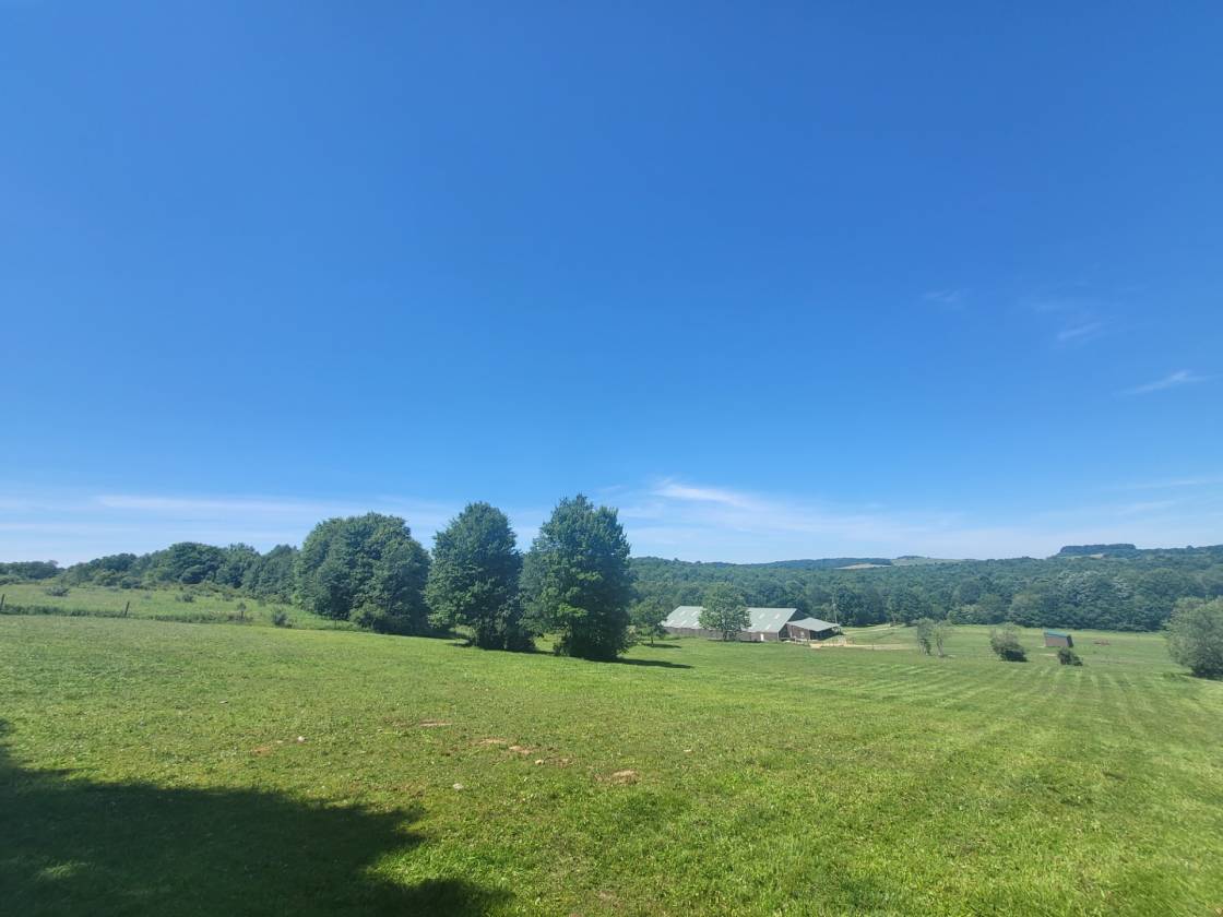 16.59 Acre Equestrian Estate - photo 24