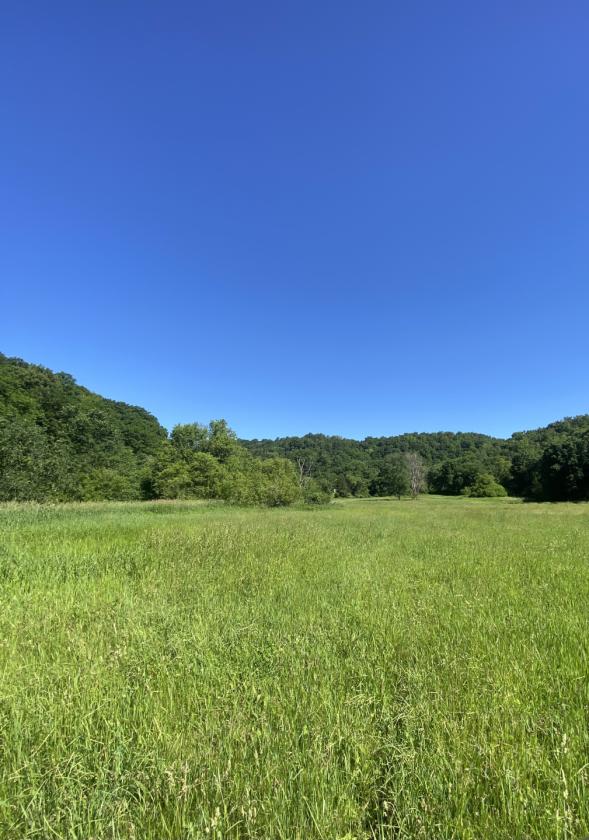 Deep River Farm - photo 9