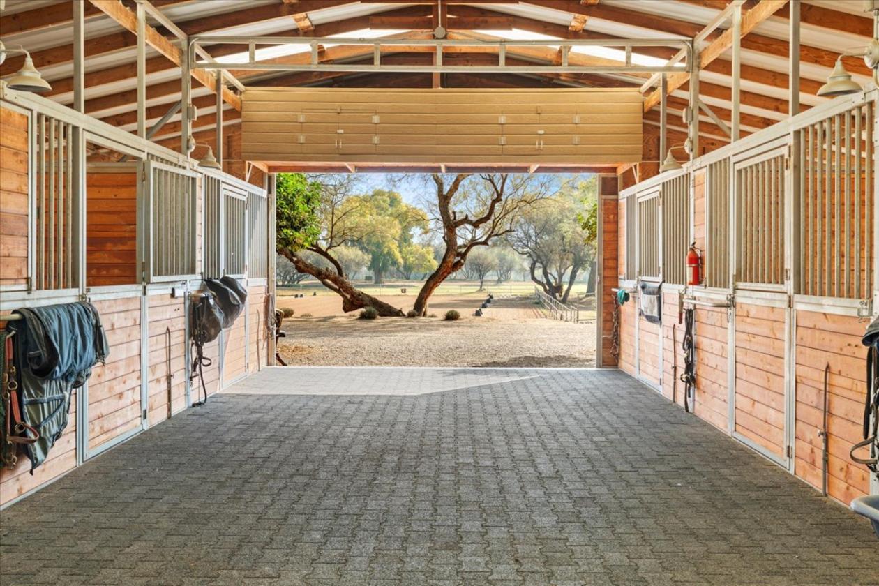 Horse lovers paradise - photo 13