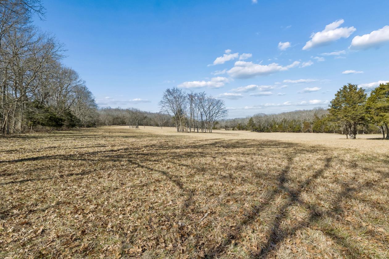 175 Gorgeous Acres - photo 23