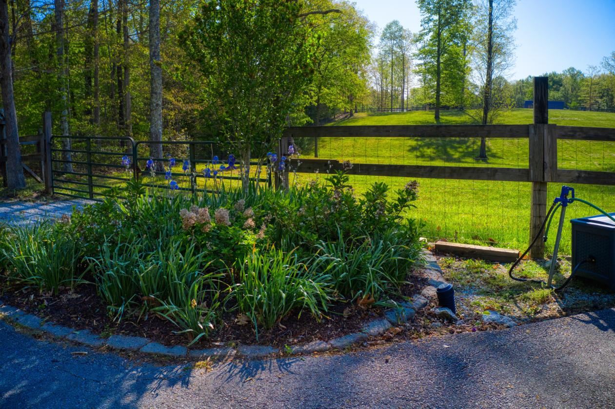 TRUE Honest Abe LOG HOME-9.14 acres - Spruce Creek - photo 30