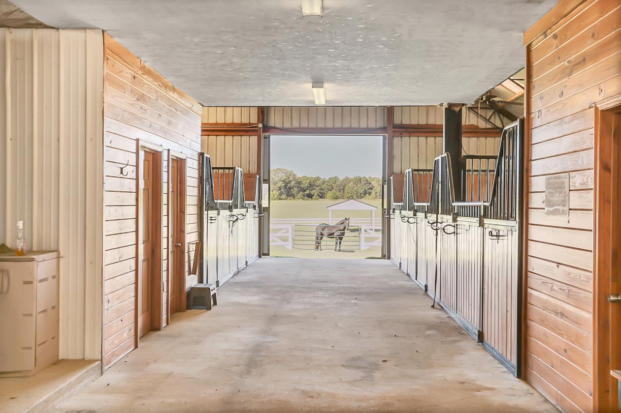 Mississippi Equestrian Estate, 17 euro stalls, - photo 20