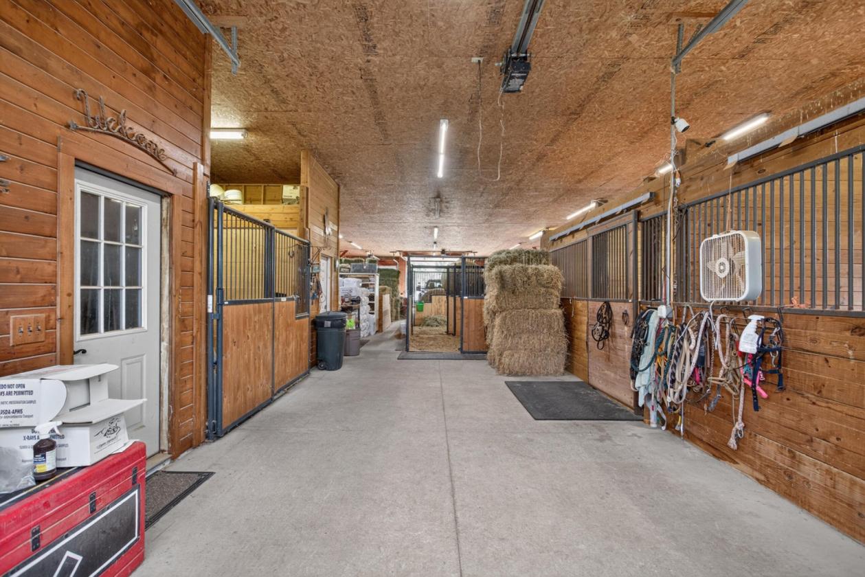 Equestrian Dream - photo 17