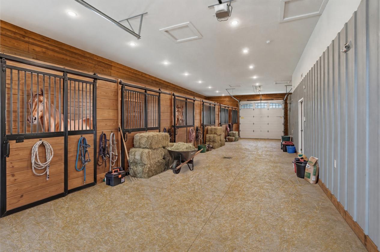 World-Class Estate in Need of Horses - photo 27