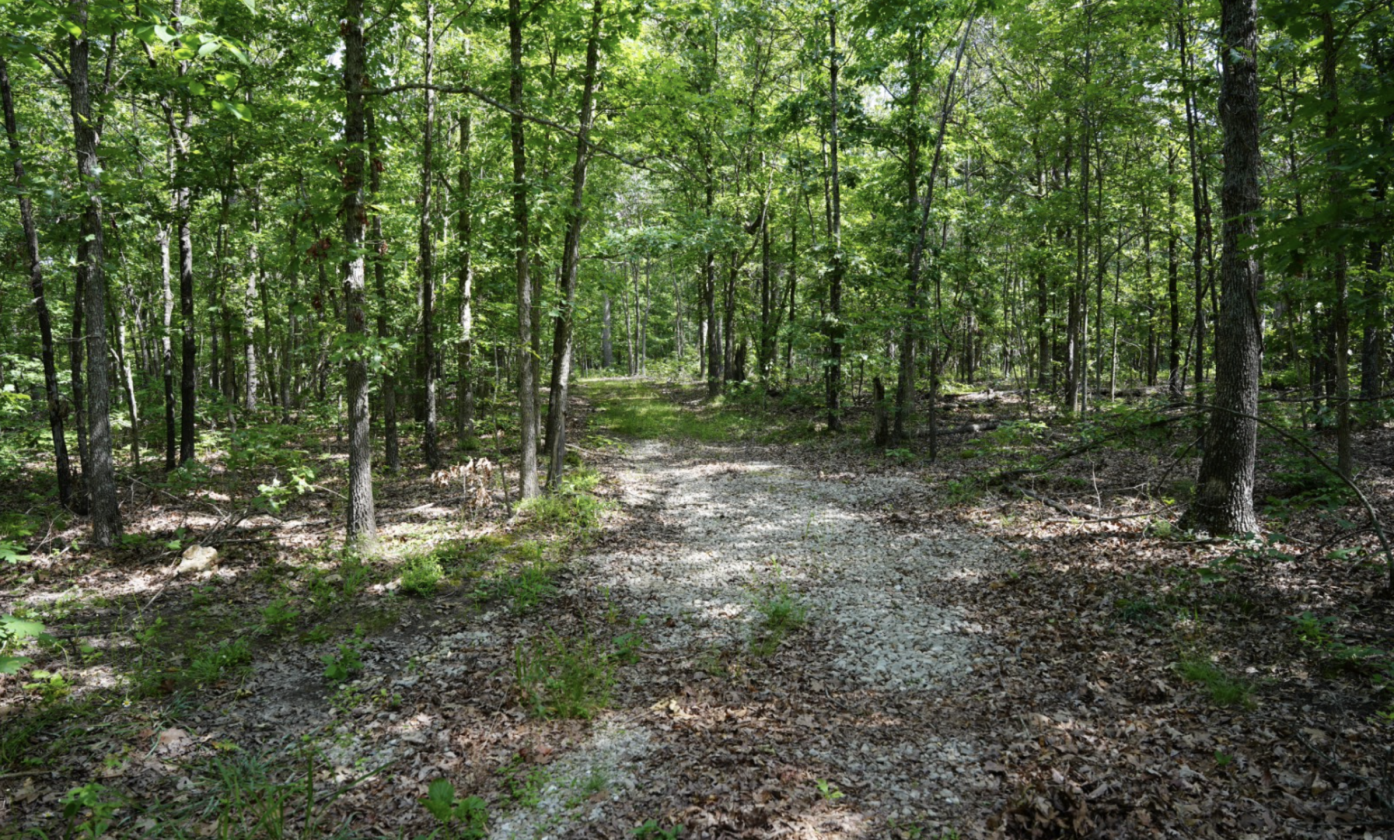 Stunning 313± Acre Double D Ranch - photo 26