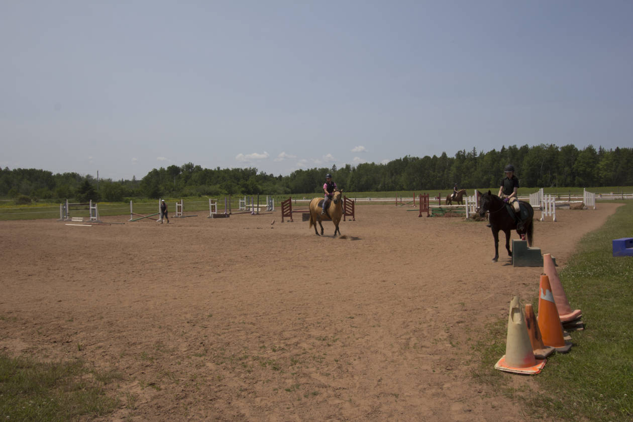 ESTABLISHED EQUESTRIAN STABLE Port Howe, Cumberland County, Nova