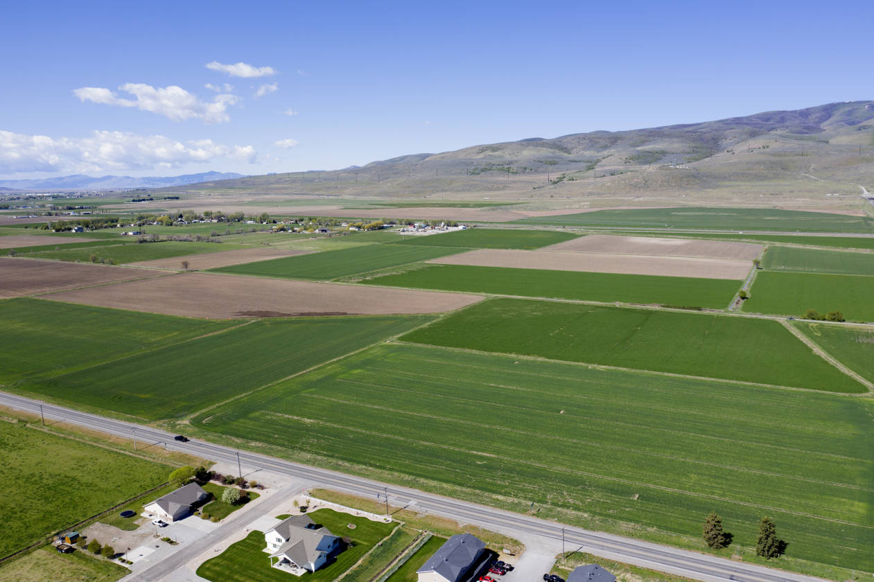 Farm and or Development Acreage for Sale Garland, Box Elder County