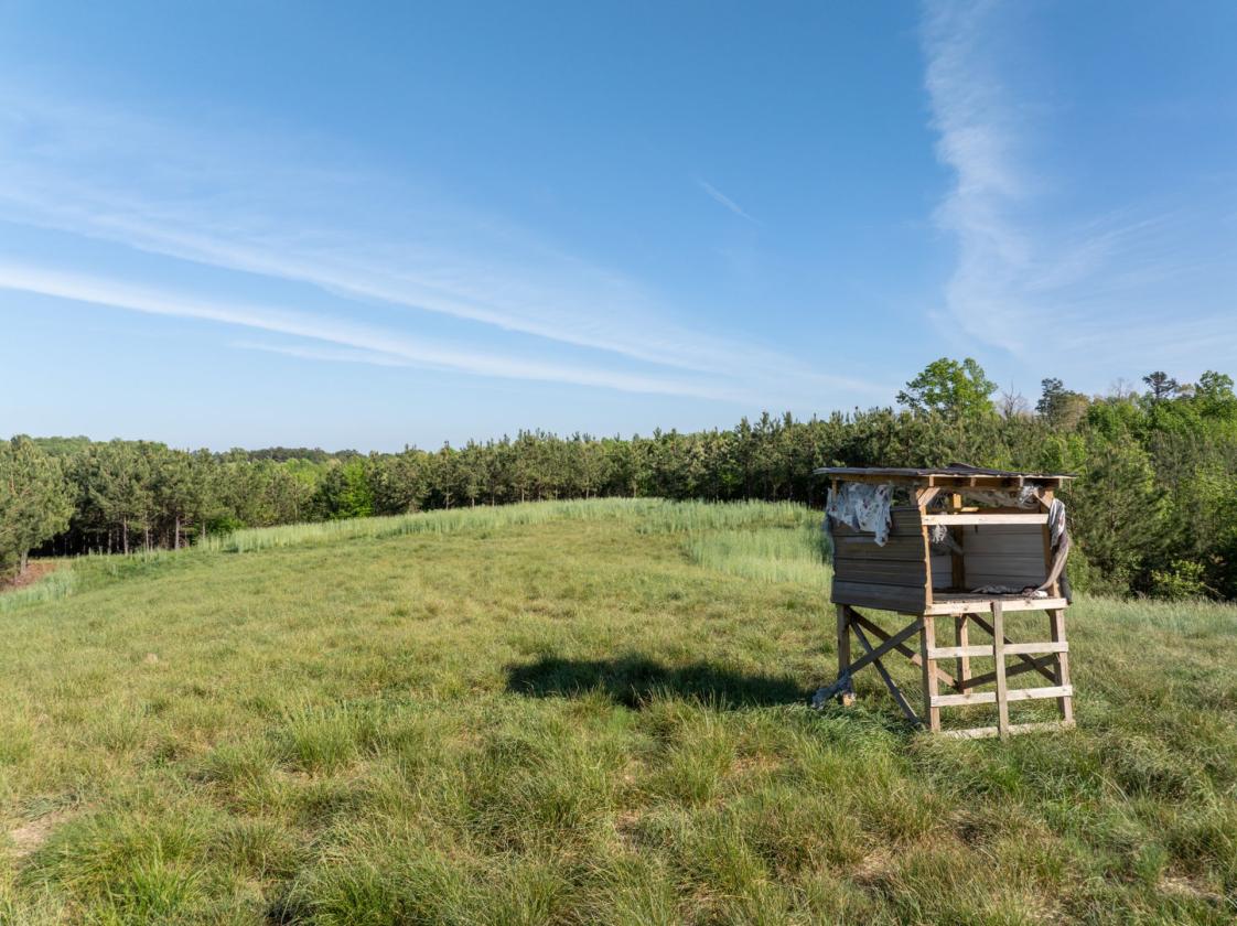 169 Acres, pastures, creeks, pond sites and trees - photo 15