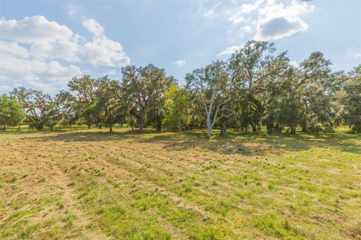 38.3 ACRE FARM WITH NEWLY REMODELED HOME - photo 27