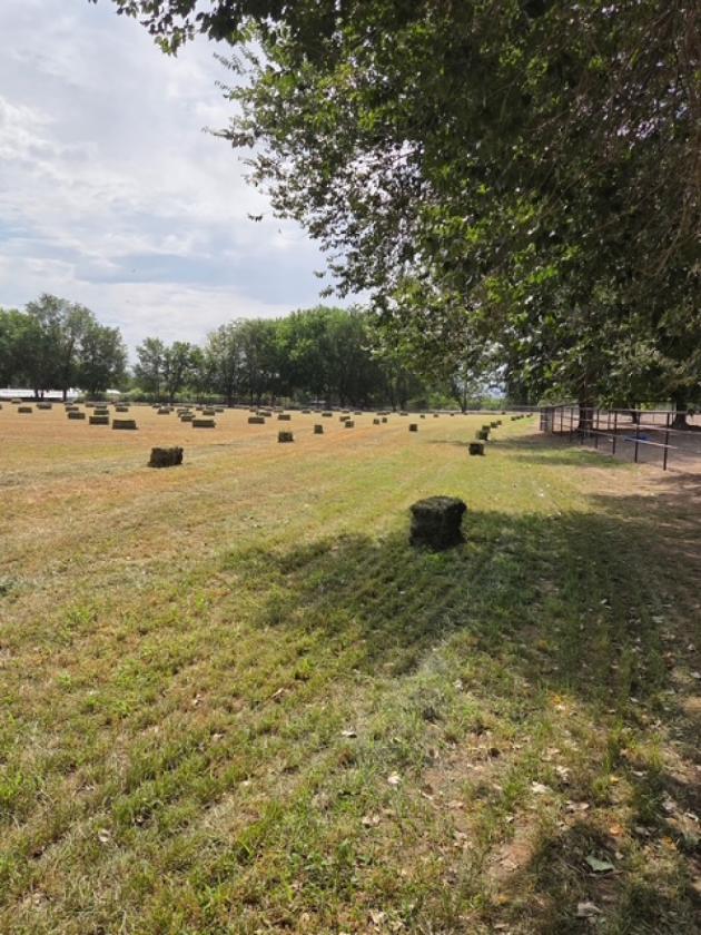 20.4 Acres WATER for growing and horse - photo 26