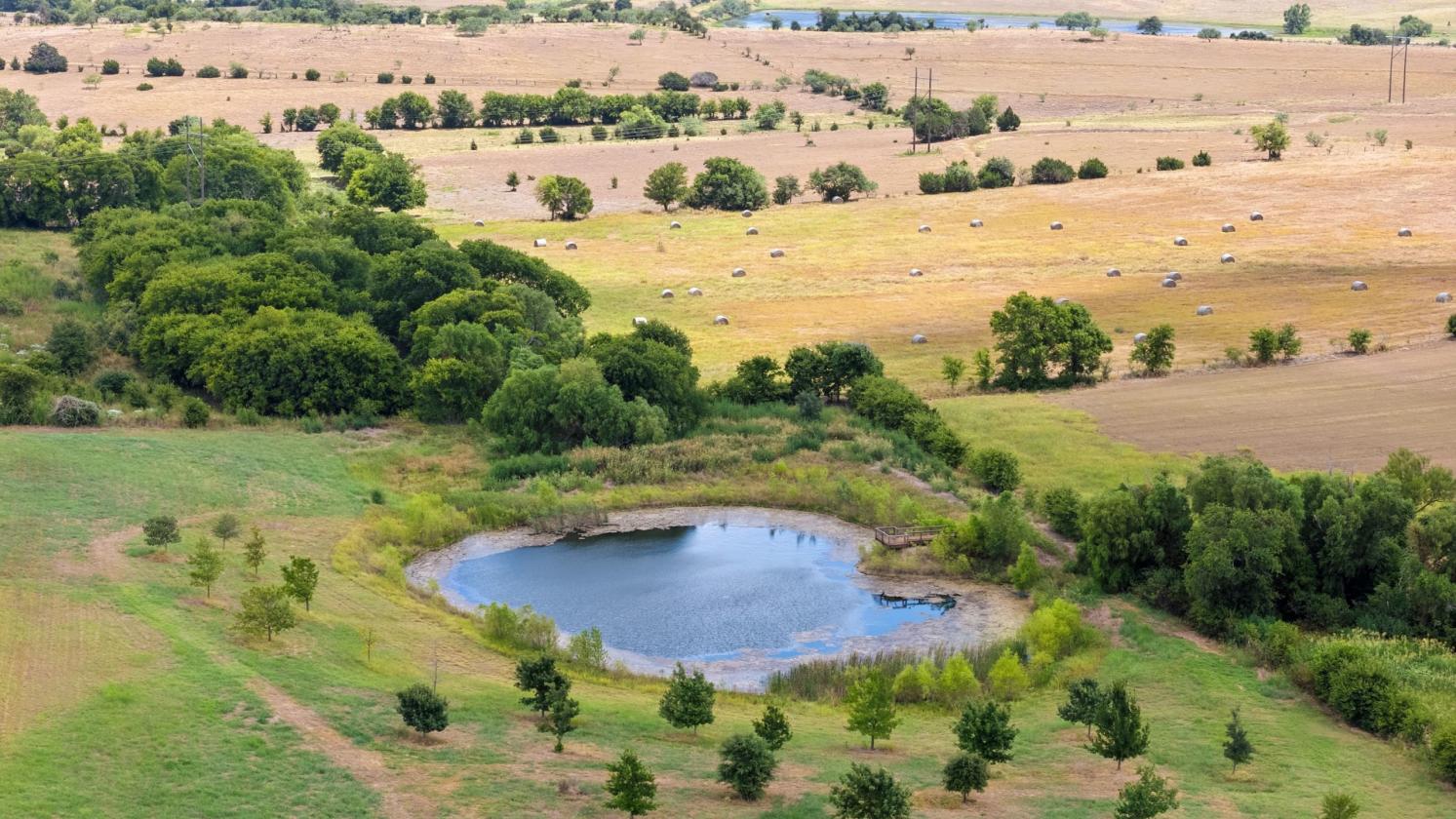 Your Texas Equestrian Dream Starts Here - photo 10