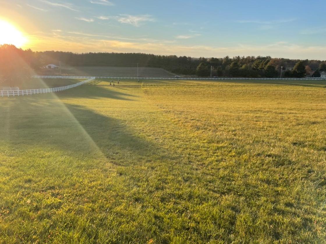 Executive Equestrian center - photo 15