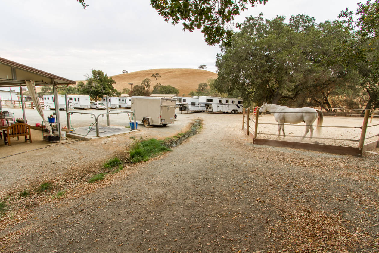 Equestrian Center For sale Walnut Creek, Contra Costa County
