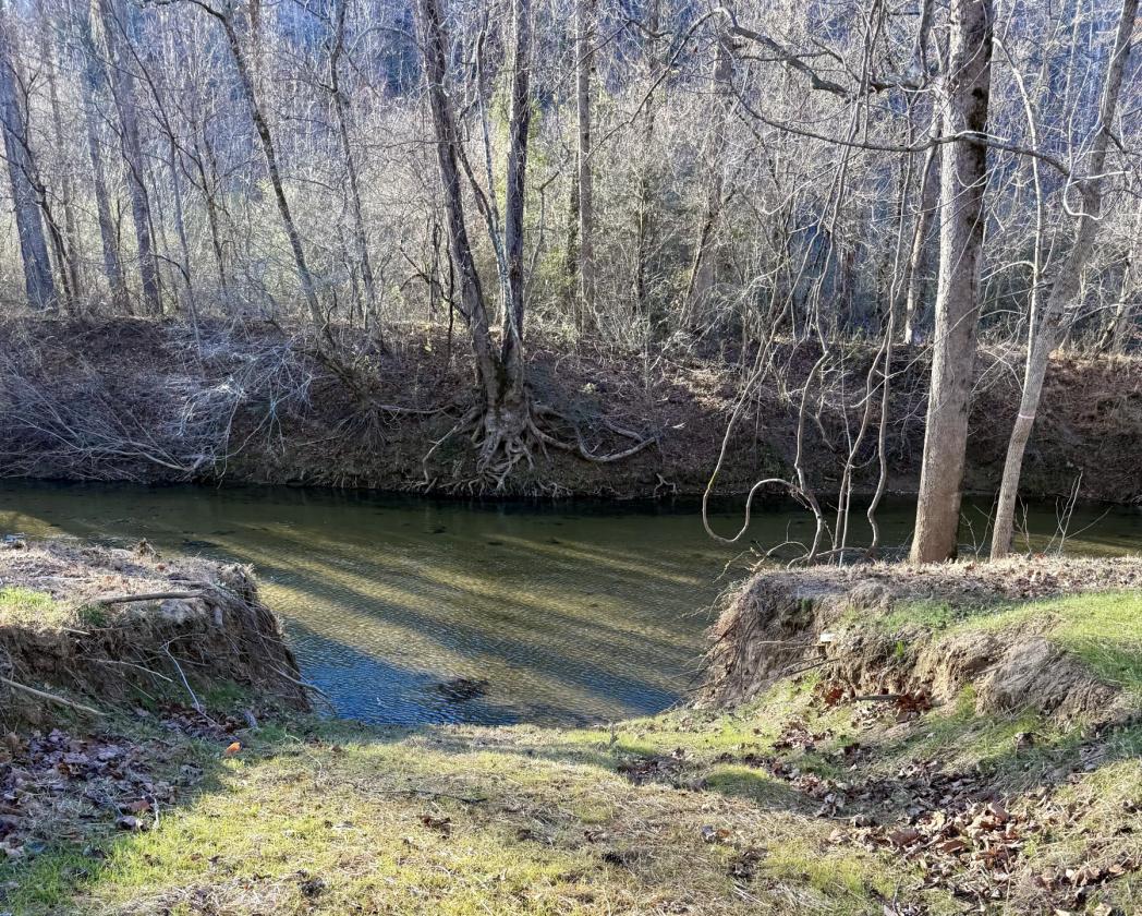 Riverfront- 12 ac at The Coves Mtn RIver Club - photo 9
