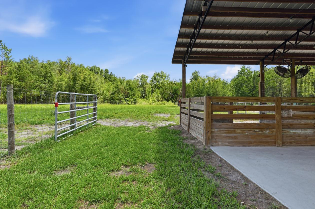 5 ACRE MINI FARM - photo 23