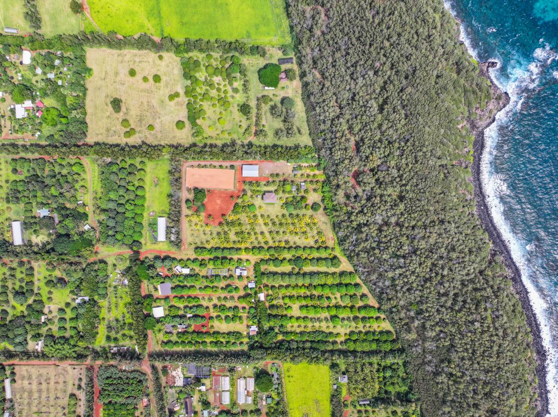 Agricultural & Equestrian Haven in Kauai - photo 24