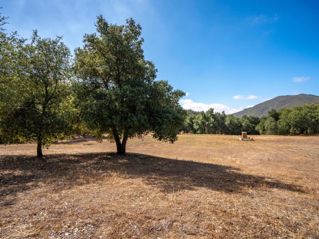 Meadow Ranch - photo 10