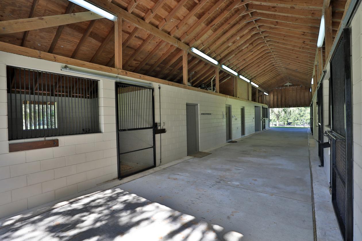 FOR LEASE - RISE AND SHINE FARM - photo 12