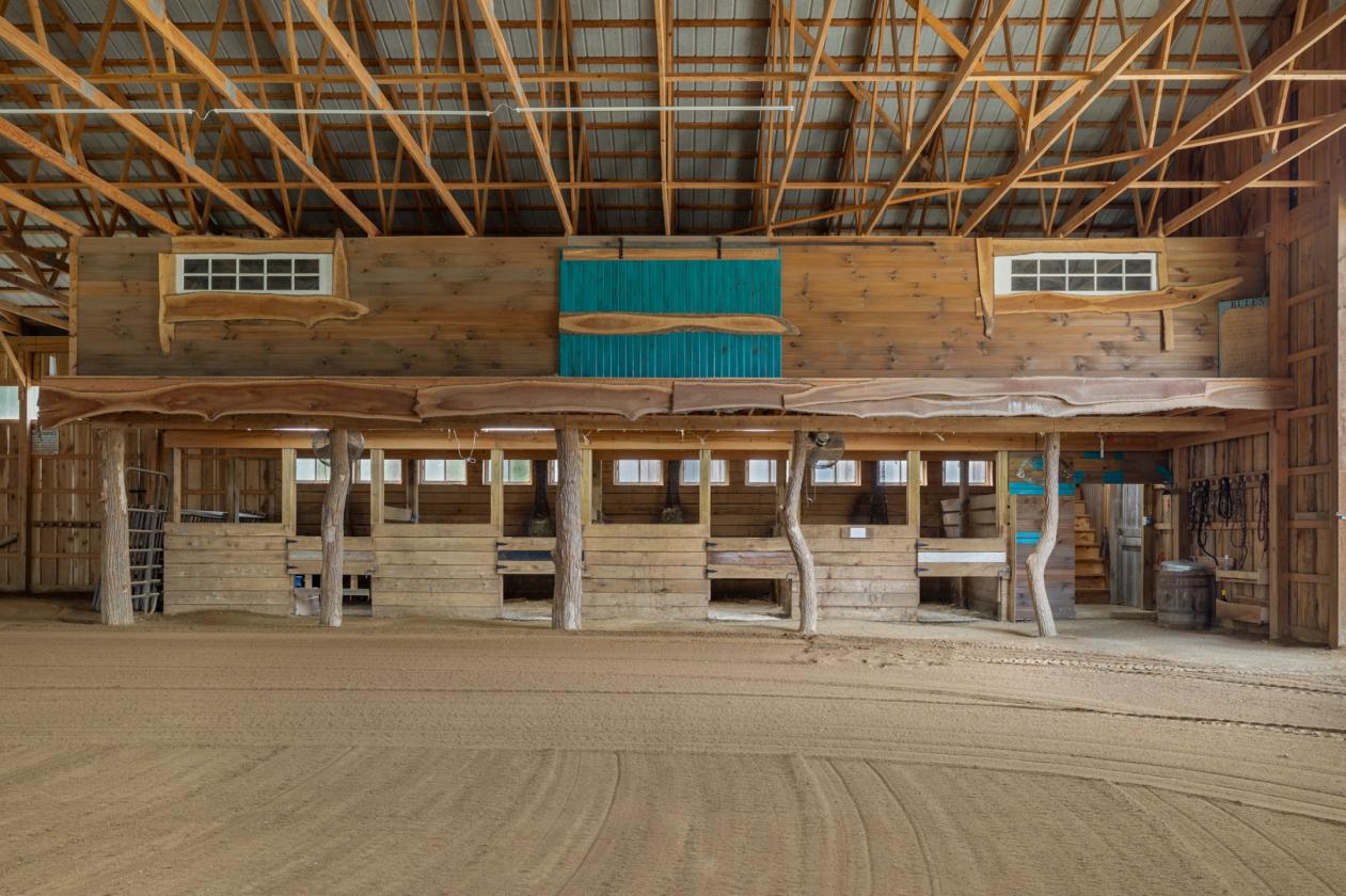 Exceptional Mohican Equine Estate Auction - photo 9