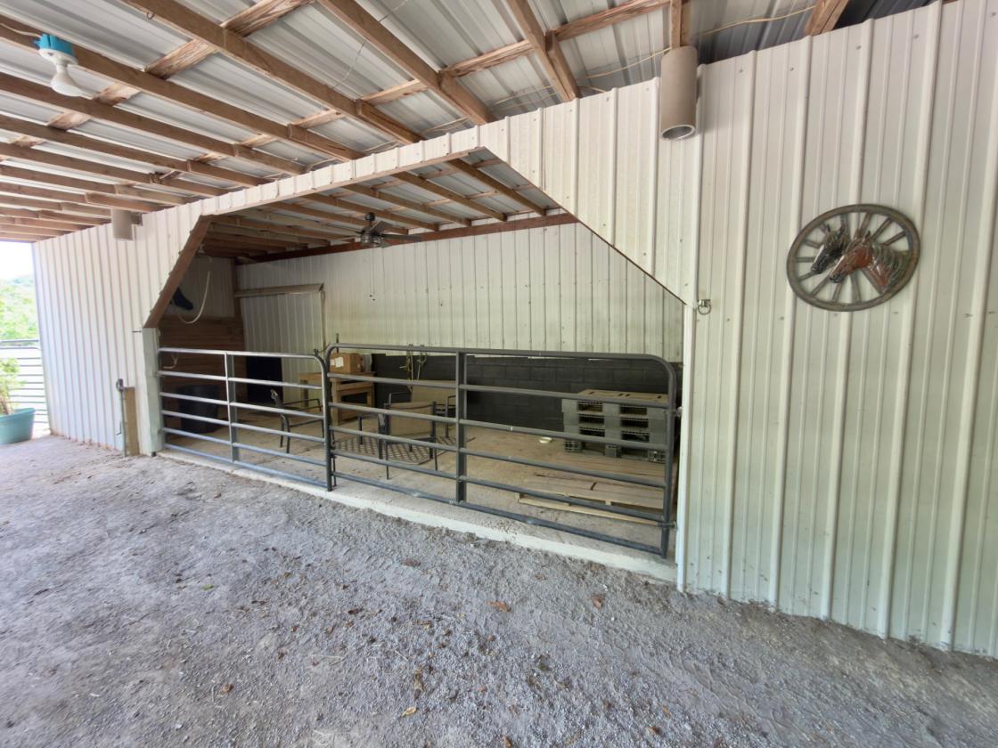 Luxury Equestrian Estate in Middle Tennessee - photo 10