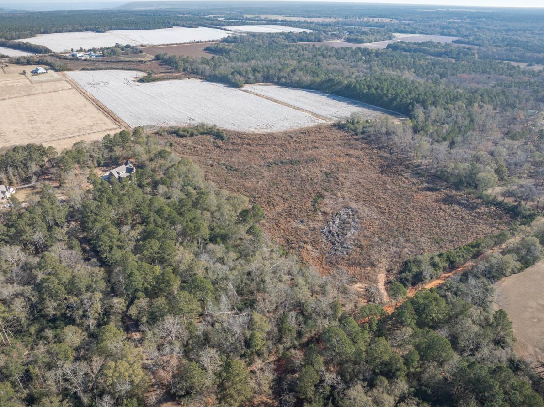 66 ACRES READY FOR YOUR EQUESTRIAN DREAM - photo 3