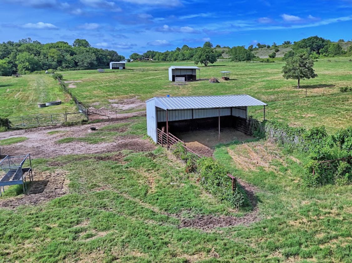 Horse Property in the North Texas Countryside - photo 11