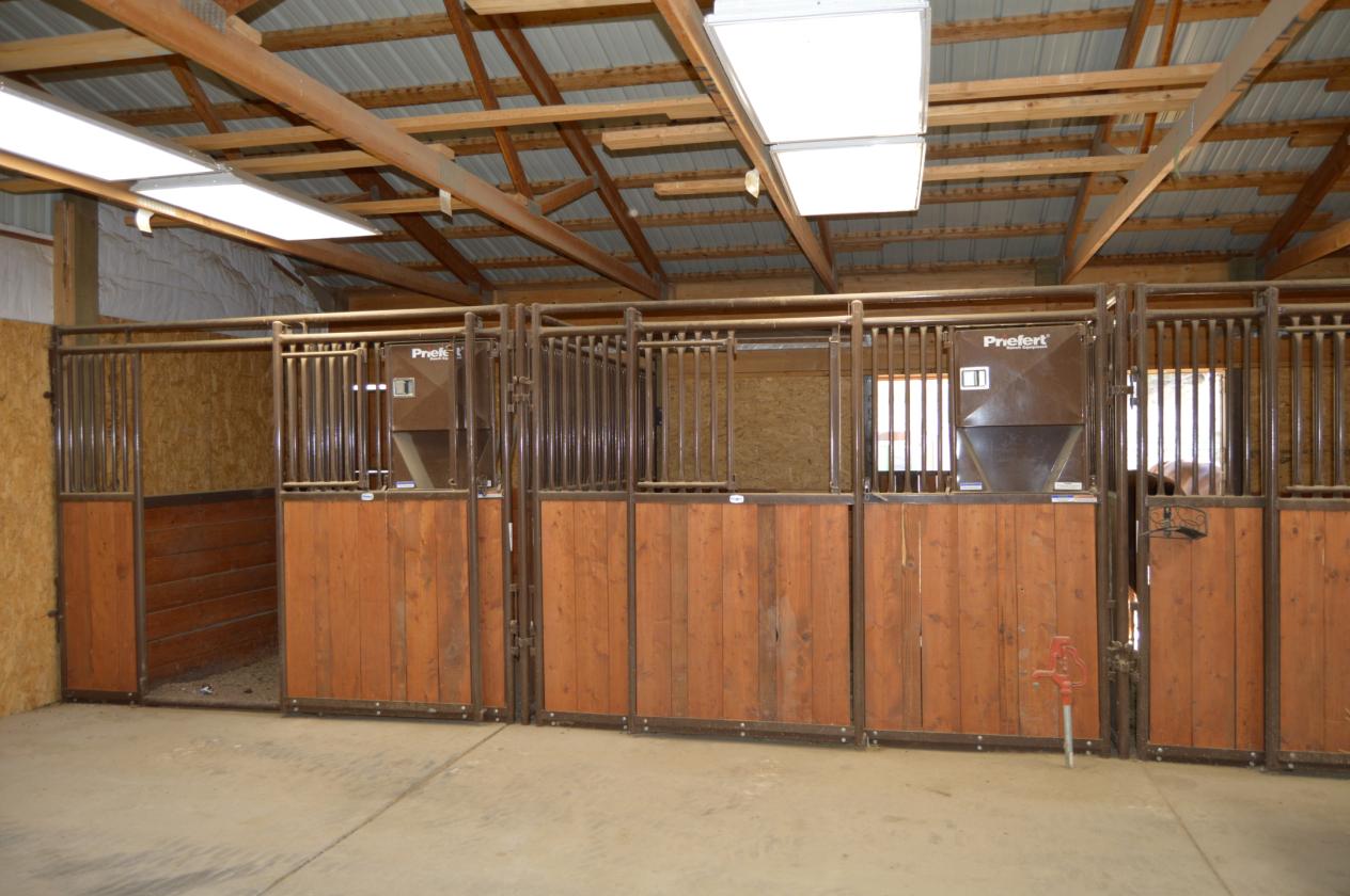 Cash Ranch - photo 22