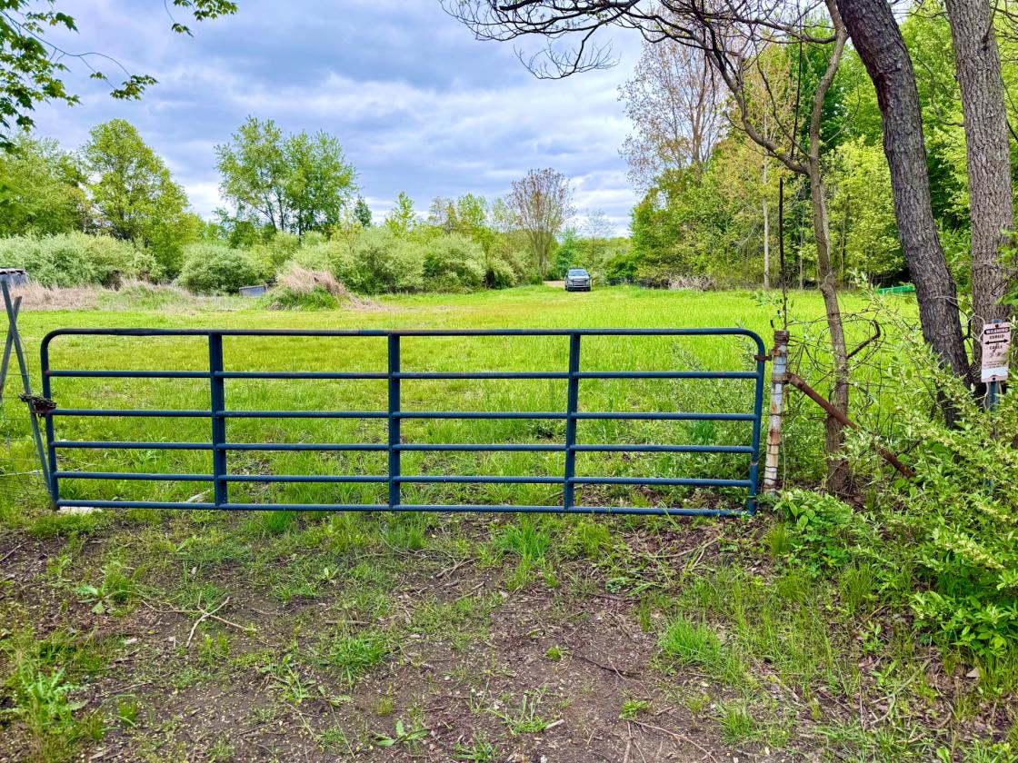 60Acres Equestrian Land with Scenic Trails - photo 16