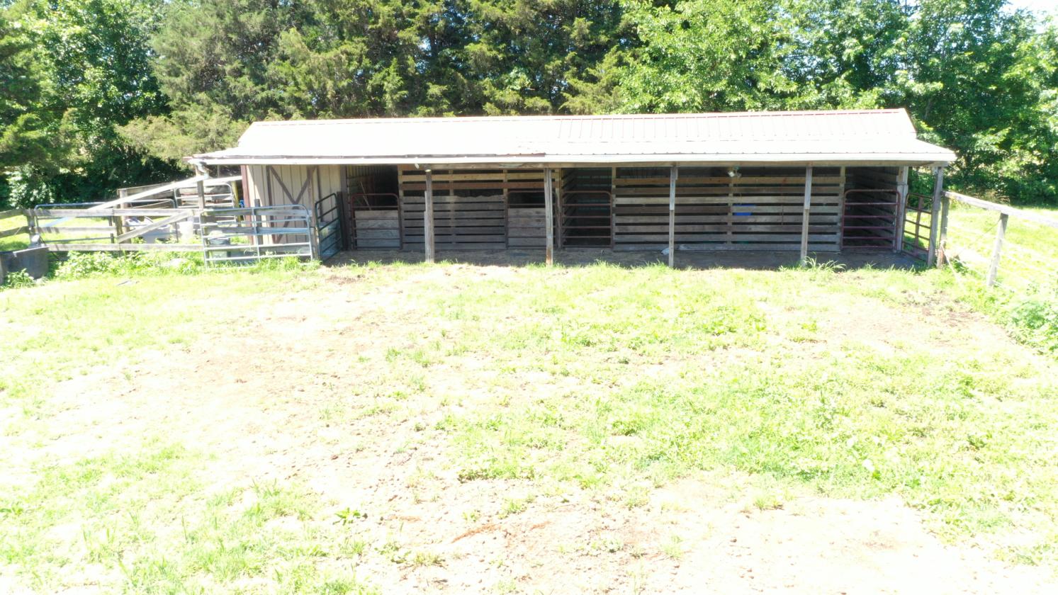 Ranch Home With Shed-Row Barn & Pasture - photo 5
