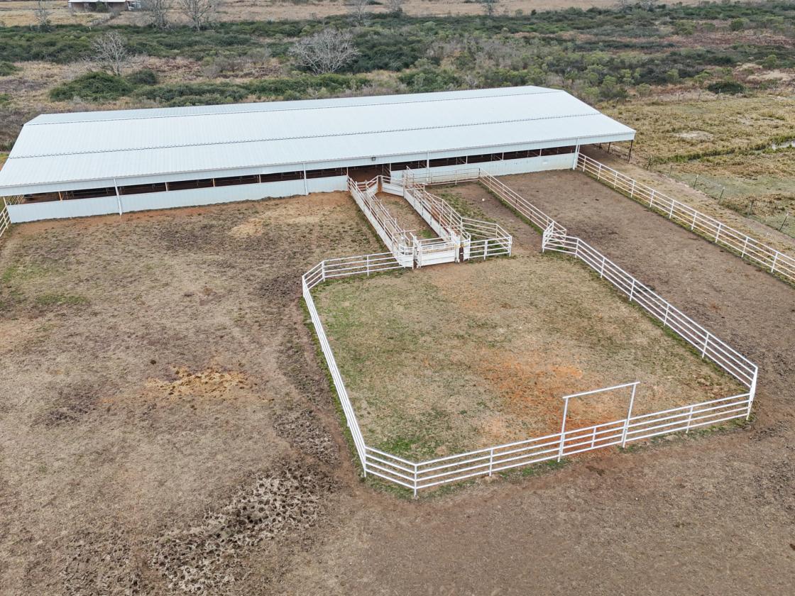 10 Acre Equestrian/Livestock Property - photo 15