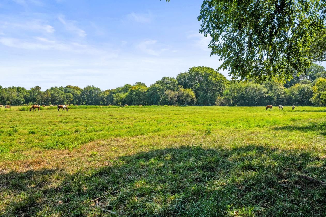 Your Horse ,Your Property, Your New Home - photo 13