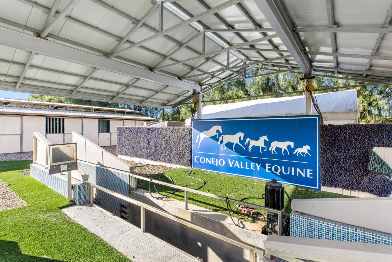 Luxury At Home. Excellence In The Ring. - photo 16