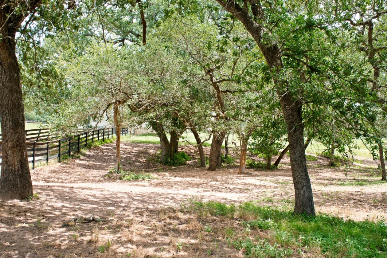 76 Ac. Braun Farm - photo 26