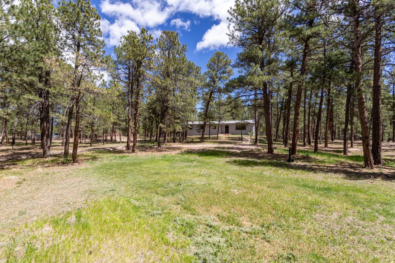 Horse Property for sale.