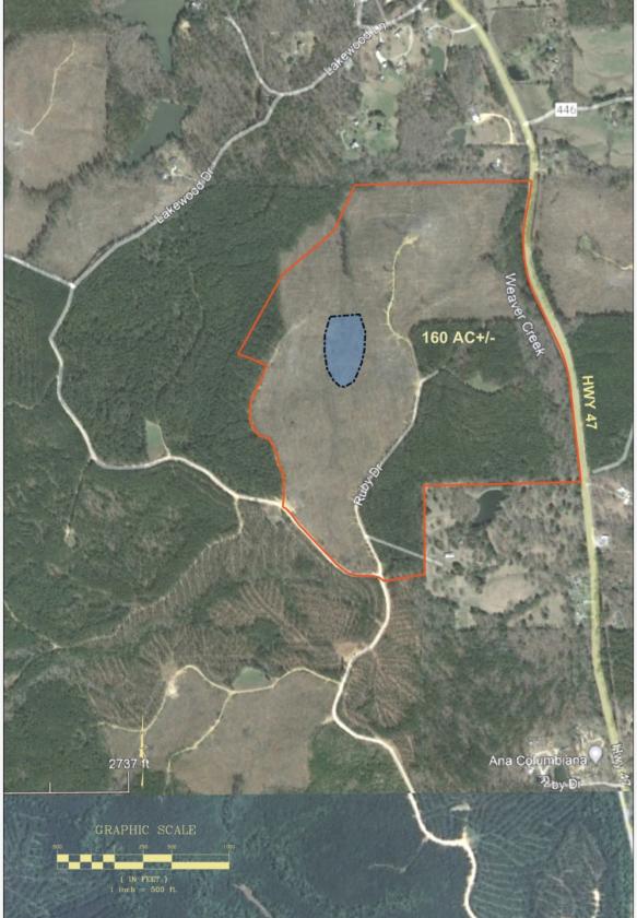 160 Acres in Shelby County w/ pastures and lake - photo 14