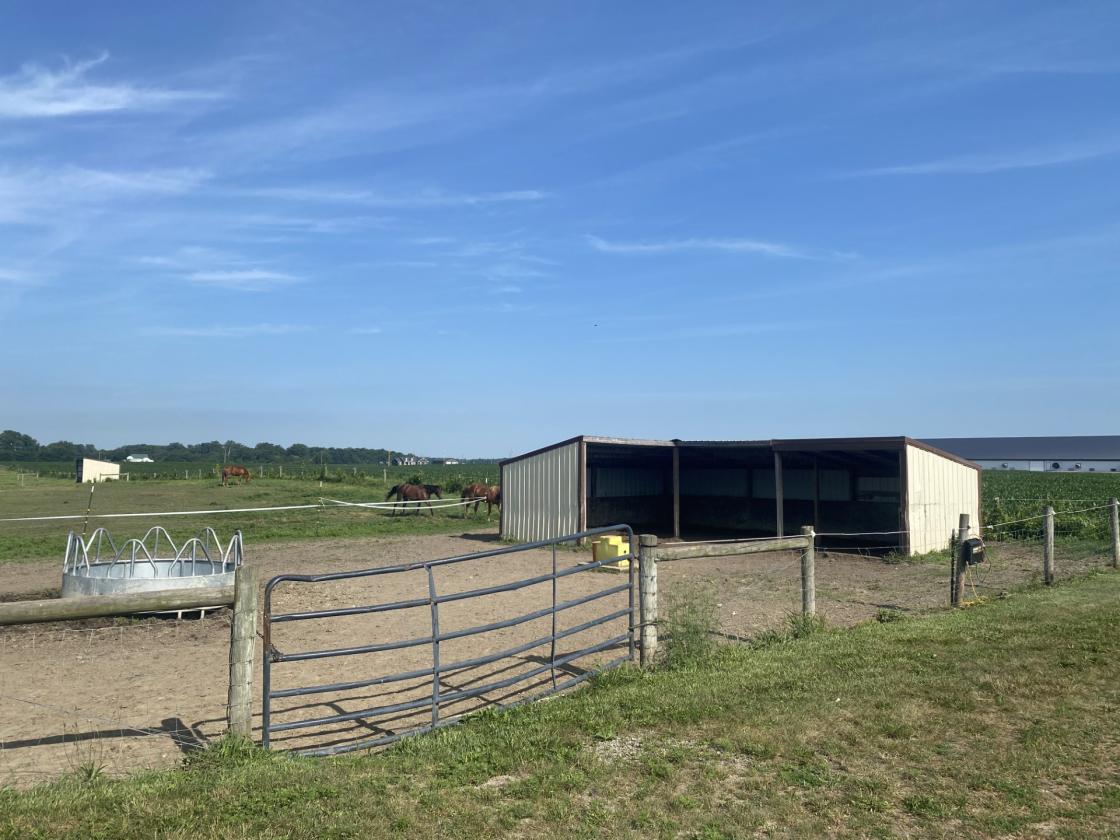 Equestrian Paradise on 29 Scenic Acres! - photo 2