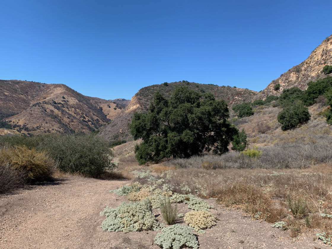 Rustic mountain retreat Tepusquet Canyon California Santa Maria