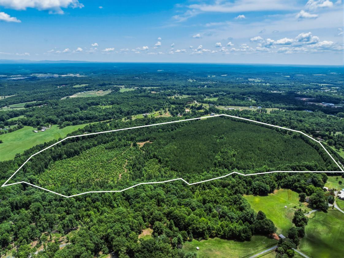 Loblolly Farm Tryon - photo 5