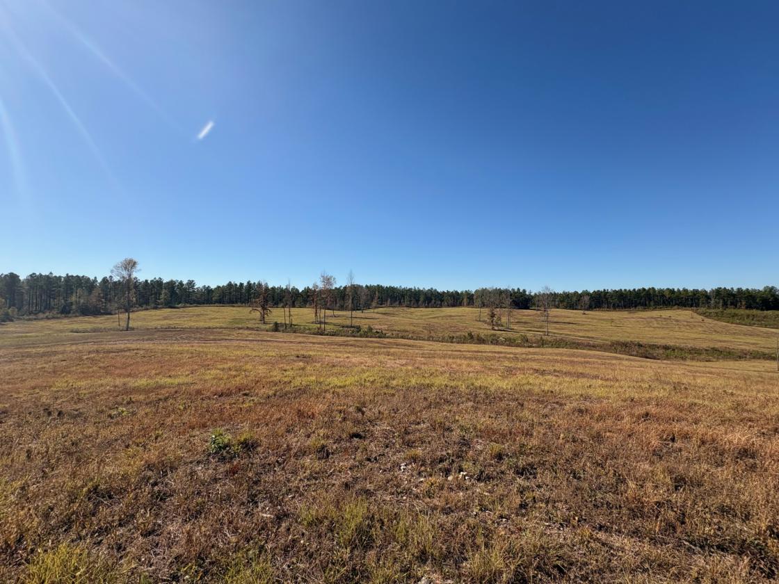 160 Acres in Shelby County w/ pastures and lake - photo 9