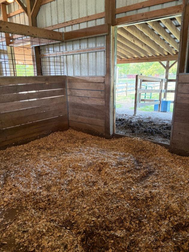 Turnkey Equestrian Estate on 10.9 Acres - photo 4