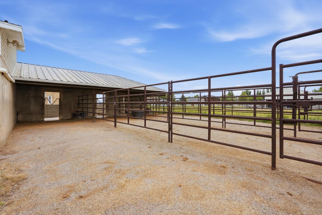 Horse Property with large arena and barn! - photo 17