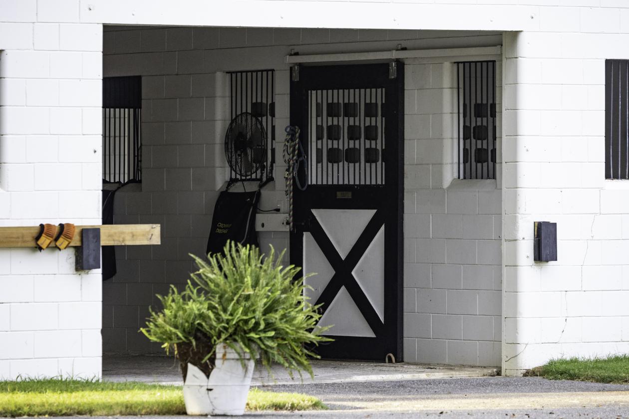 Kingwood Foxden - 4 miles to World Equestrian Center - photo 17